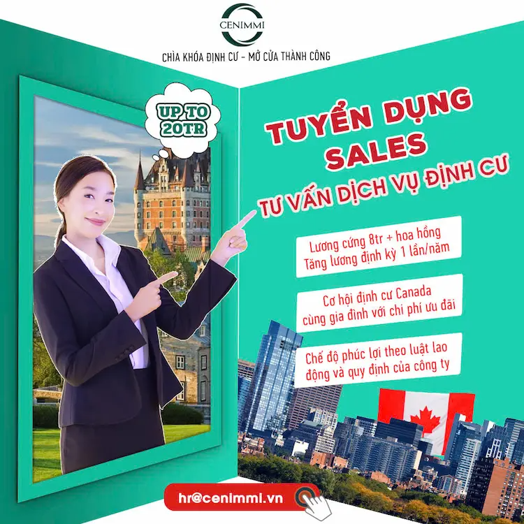 lĩnh vực hoạt động